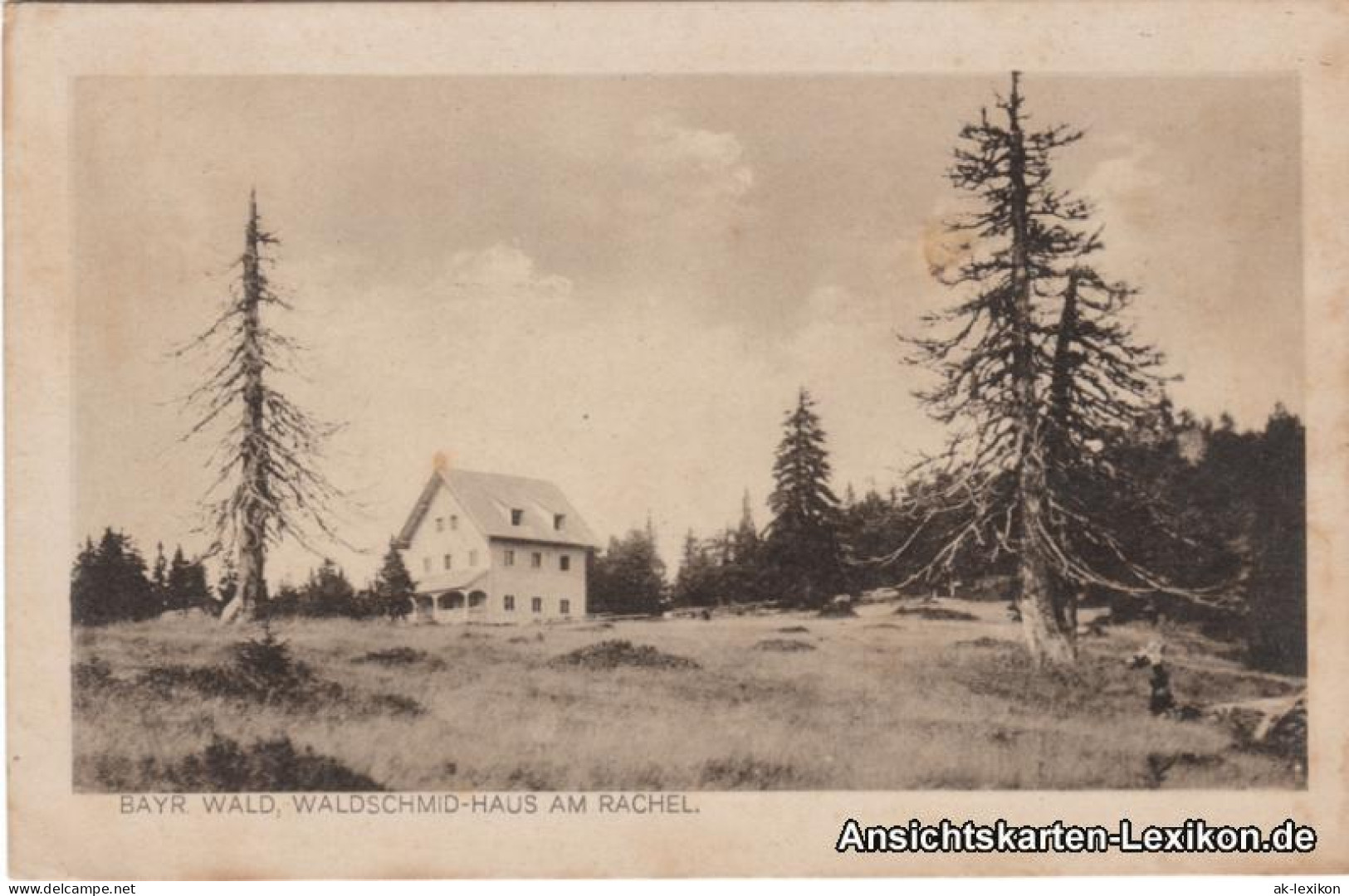 Ansichtskarte Zwiesel Waldschmid-Haus Am Rachel 1924 - Zwiesel