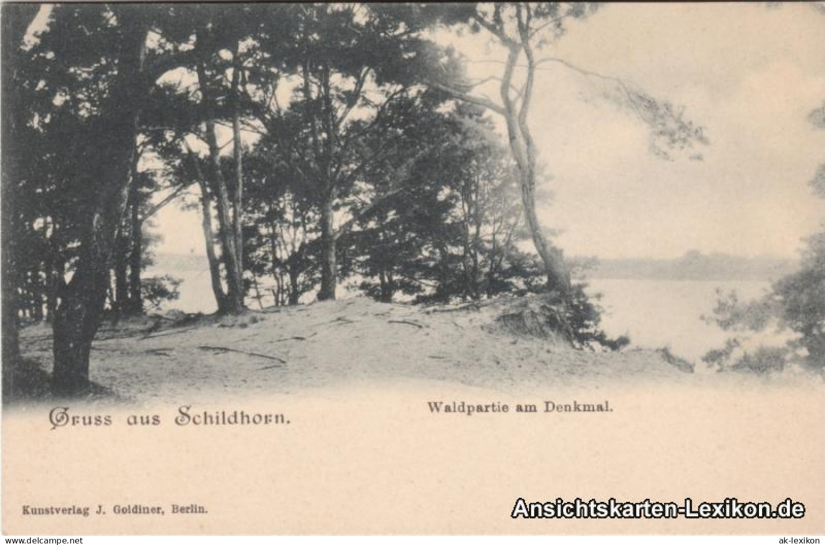 Grunewald-Berlin Gruss Aus Schildhorn - Waldpartie Am Denkmal 1909 - Grunewald