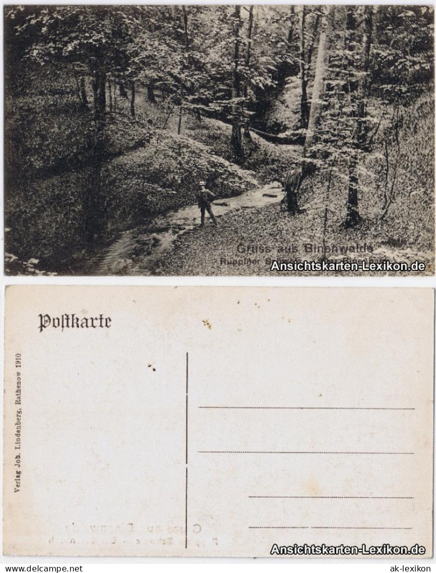 Ansichtskarte Binenwalde-Neuruppin Ruppiner Schweiz - Der Binenbach 1910 - Neuruppin