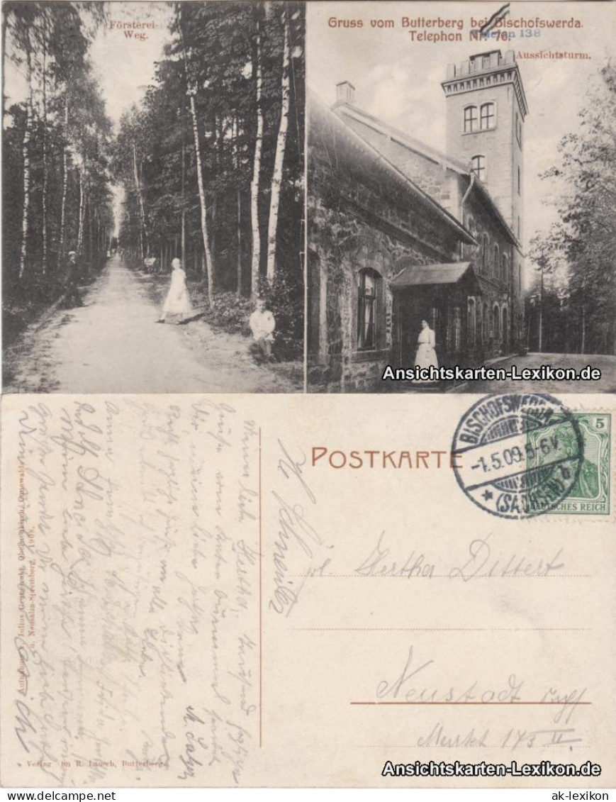 Bischofswerda 2 Bild Butterberg Mit Försterrei-Weg Und Aussichtsturm 1908 - Bischofswerda