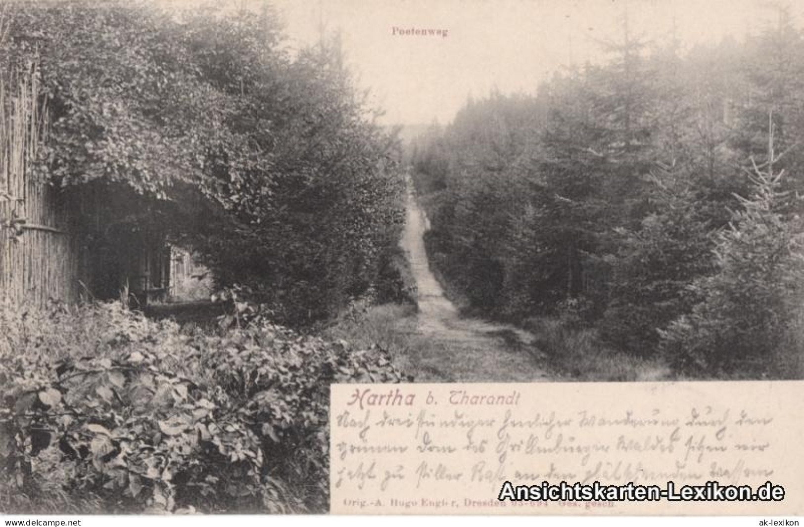 Ansichtskarte Kurort Hartha-Tharandt Poetenweg 1906 - Tharandt