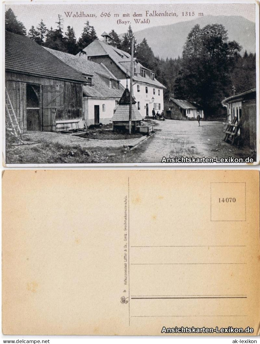 Ansichtskarte Zwiesel Waldhaus, 696 M Mit Dem Falkenstein 1315 M 1917 - Zwiesel