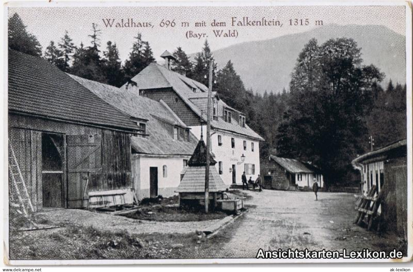 Ansichtskarte Zwiesel Waldhaus, 696 M Mit Dem Falkenstein 1315 M 1917 - Zwiesel