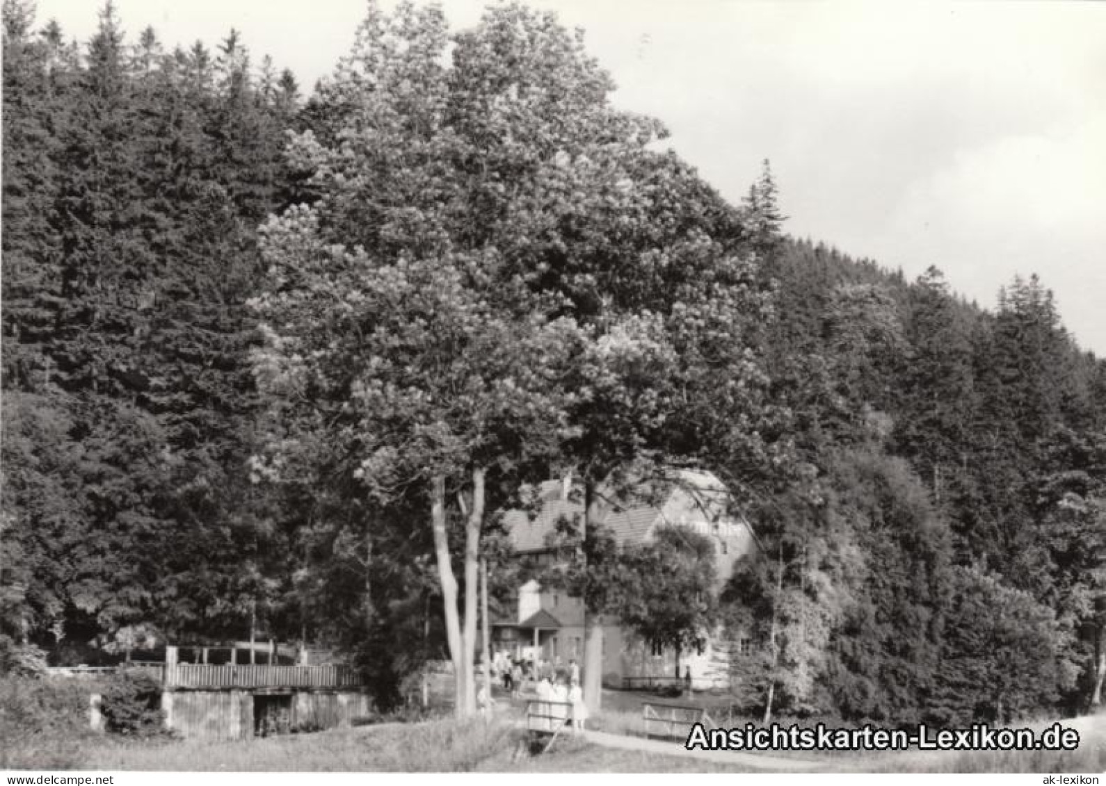 Schmiedeberg (Erzgebirge)-Dippoldiswalde HOG &#34;Putzmühle&#34; 1977  - Schmiedeberg (Erzgeb.)