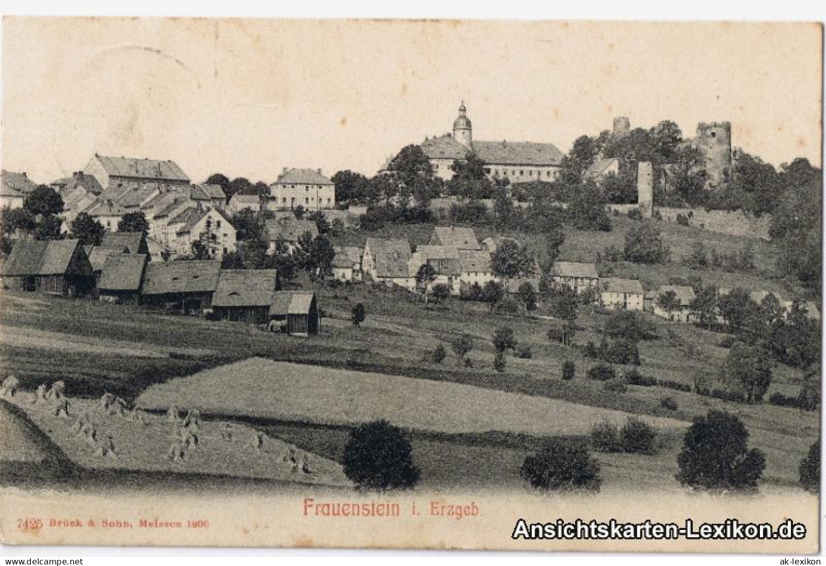 Ansichtskarte Frauenstein (Erzgebirge) Totalansicht Mit Feldern 1906 - Frauenstein (Erzgeb.)