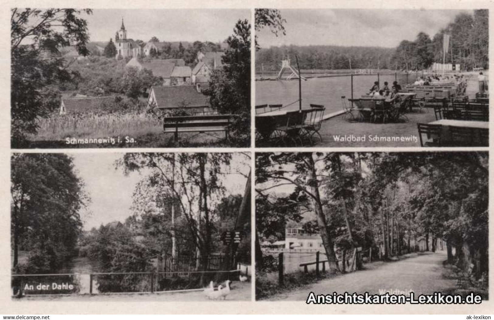 Schmannewitz-Dahlen 4 Bild Panorama, Waldbad, Dahle Und Waldteich 1959 - Dahlen