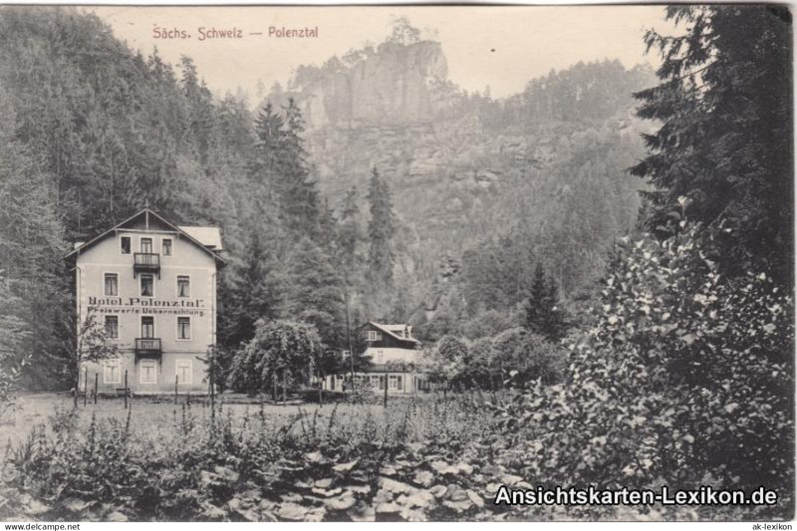 Ansichtskarte Polenz-Neustadt (Sachsen) Polenztal Mit Hotel 1916  - Neustadt