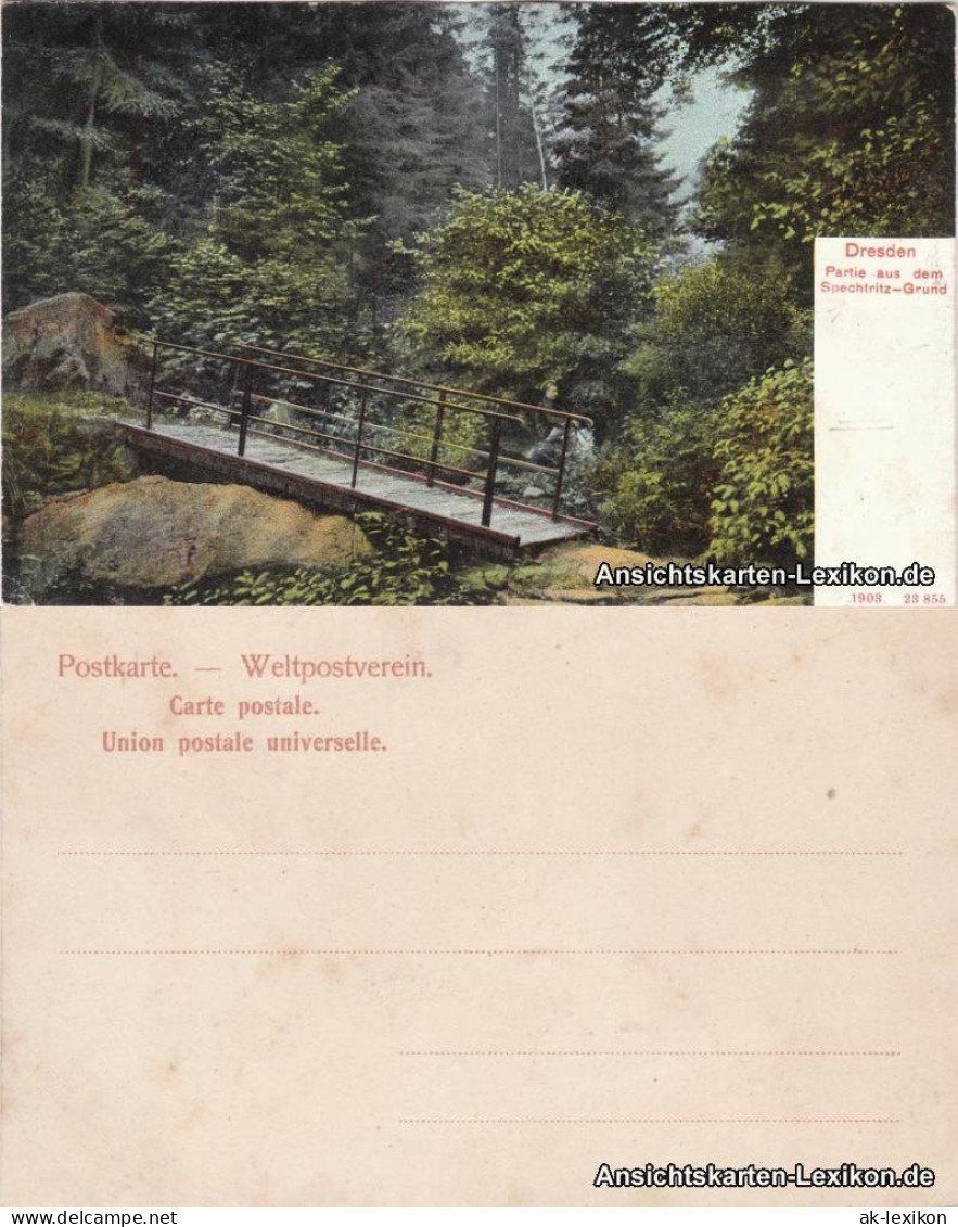 Ansichtskarte Rabenau Spechtritzgrund 1903  - Rabenau