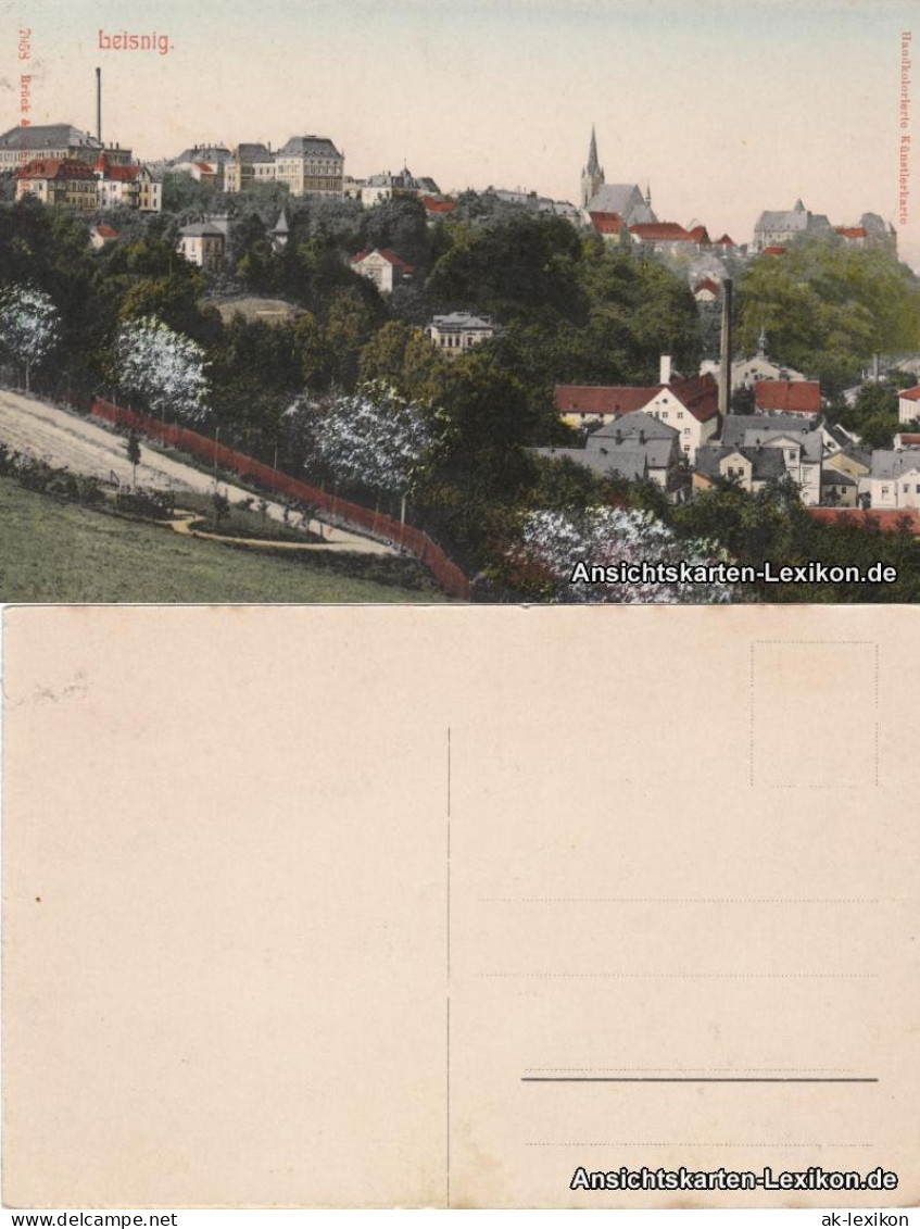 Ansichtskarte Leisnig Totale (Handcolorierte Künstlerkarte) 1909  - Leisnig