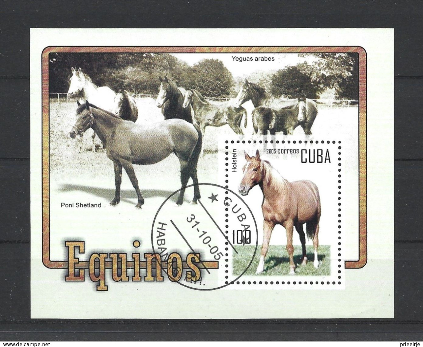 Cuba 2005 Horses S/S  Y.T. BF 206 (0) - Blocchi & Foglietti