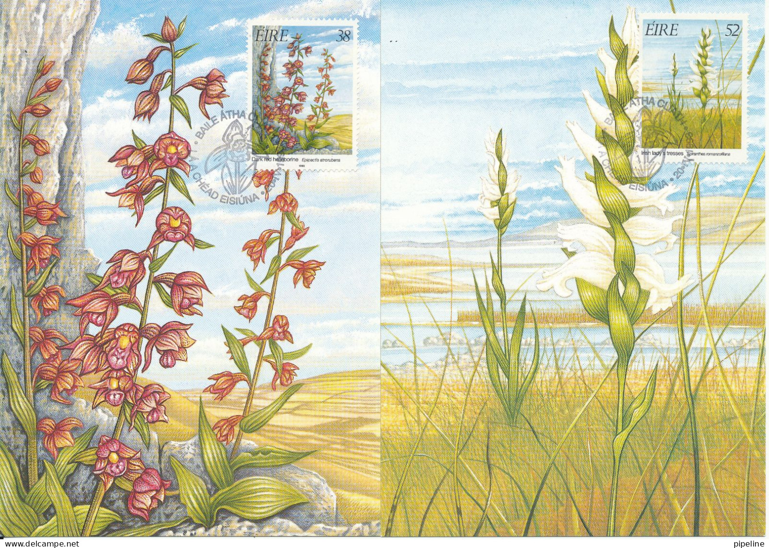 Ireland Maximum Cards 20-4-1993 Fauna & Flora 1993 Complete Set Of 4 - Cartoline Maximum