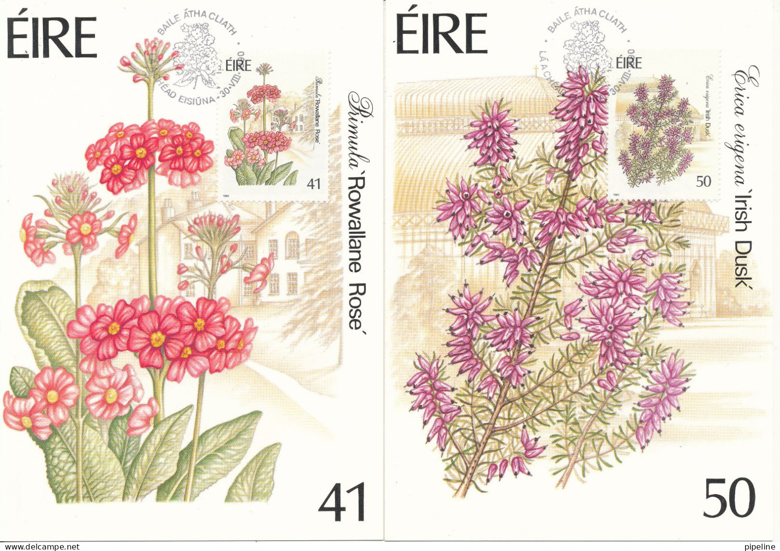 Ireland Maximum Cards 30-8-1990 Fauna & Flora Set Of 4 - Cartes-maximum