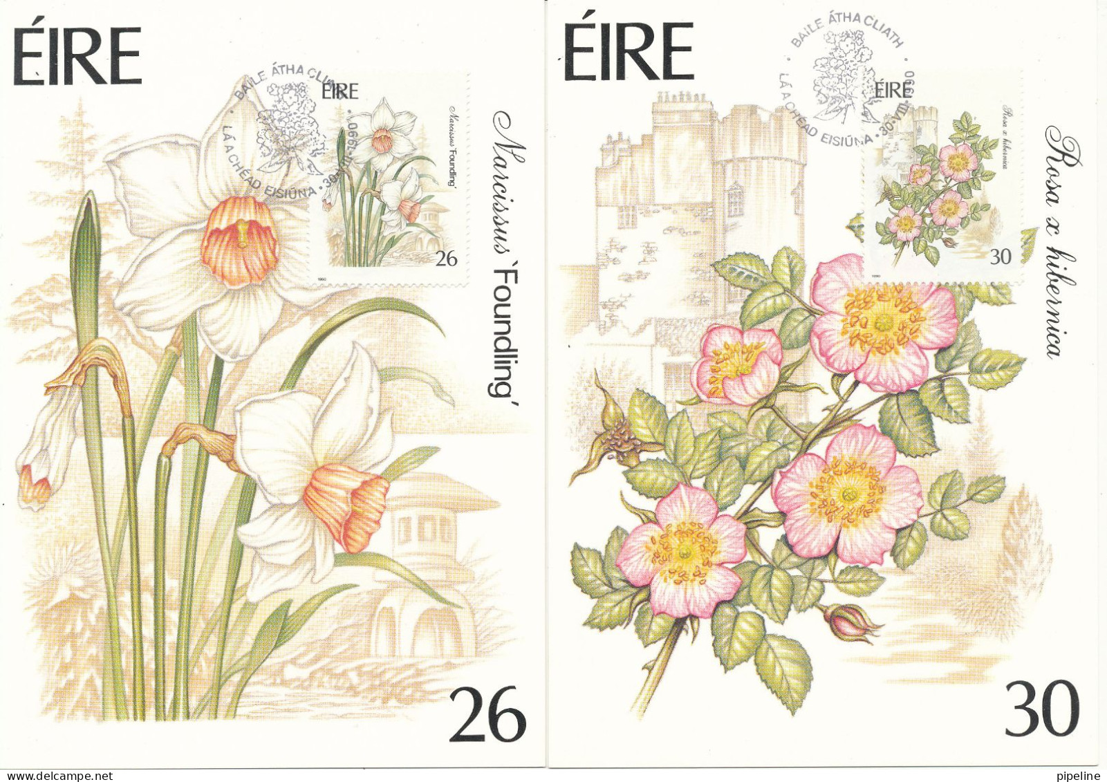 Ireland Maximum Cards 30-8-1990 Fauna & Flora Set Of 4 - Cartes-maximum