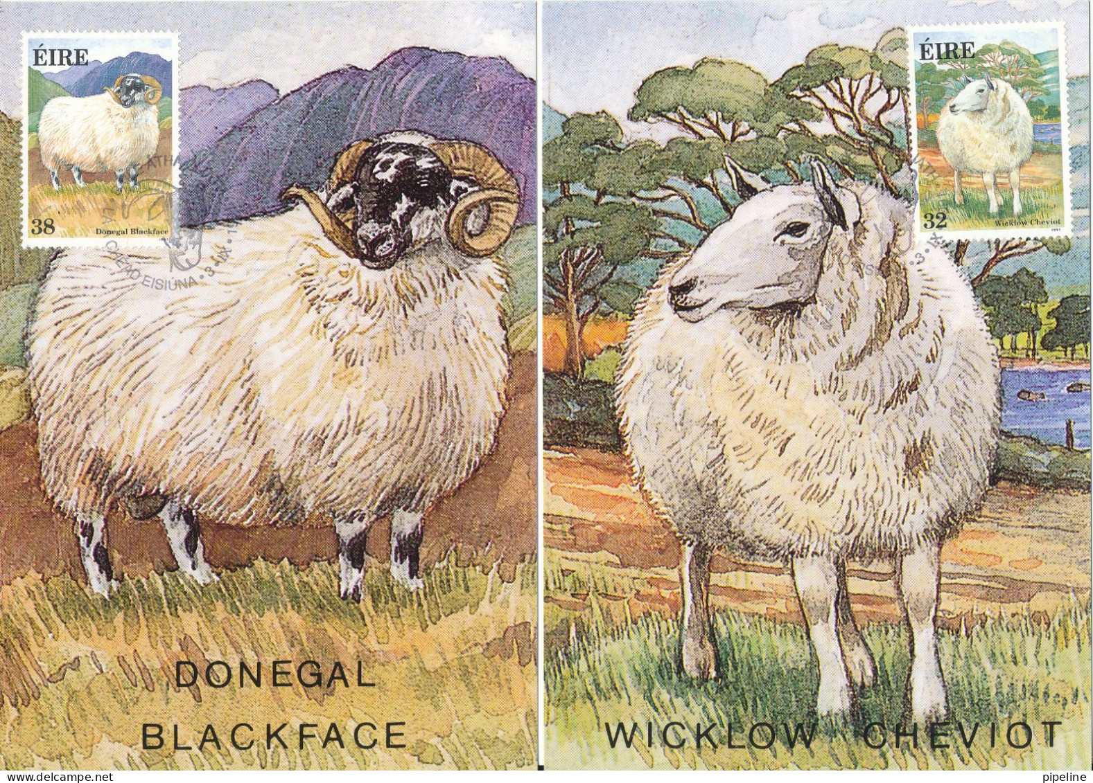 Ireland Maximum Cards 3-9-1991 Fauna & Flora SHEEPS Complete Set Of 3 - Cartoline Maximum