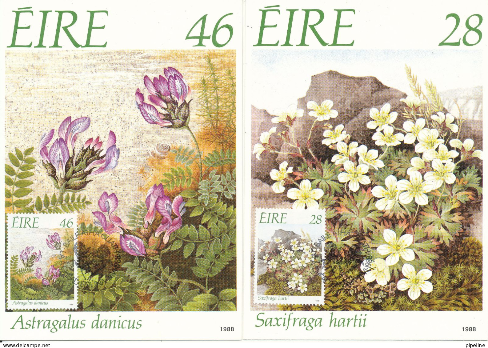 Ireland Maximum Cards 21-6-1988 Fauna & Flora 1988 Complete Set Of 3 - Cartes-maximum