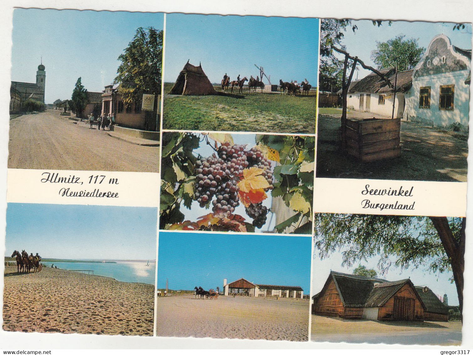 E4840) ILLMITZ 117m - Neusiedlersee - Seewinkel Burgenland - Mehrbild Straße - Häuser Pferde Kirche - Neusiedlerseeorte