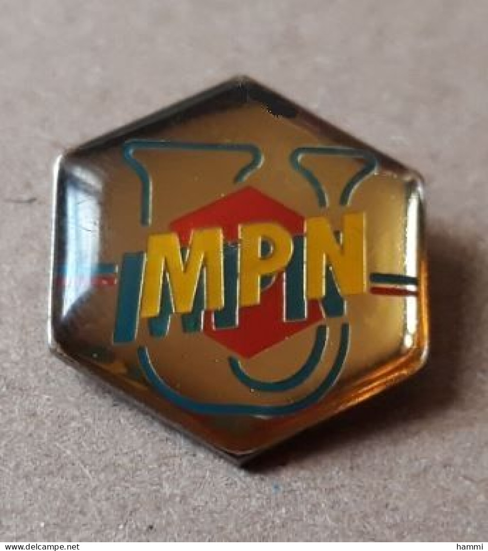 P117 Pin's MPN Mutuelle Police Nationale Assurance Achat Immédiat - Policia