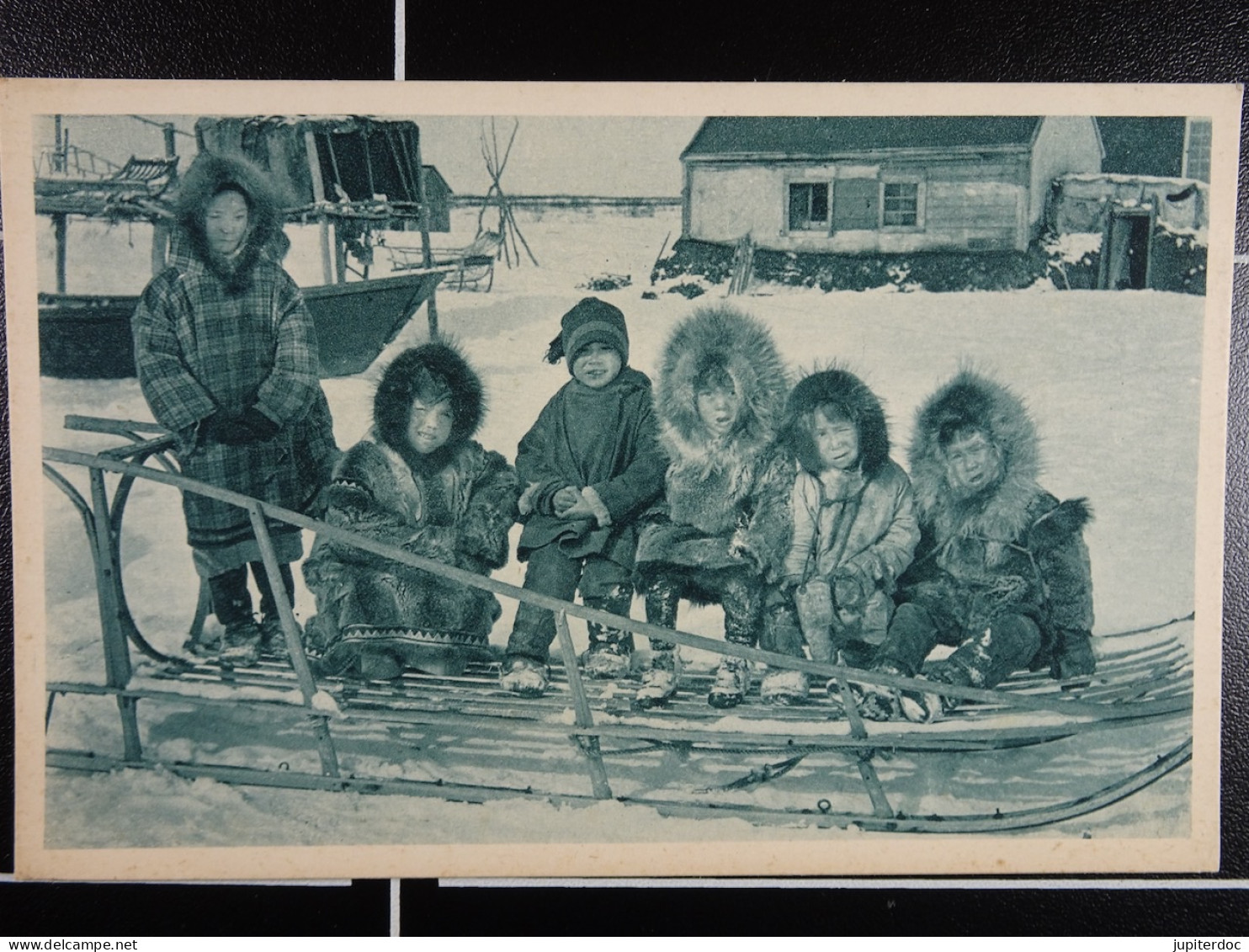 Cercle Arctique Alaska La Jeune Génération... En Fourrures! - Autres & Non Classés