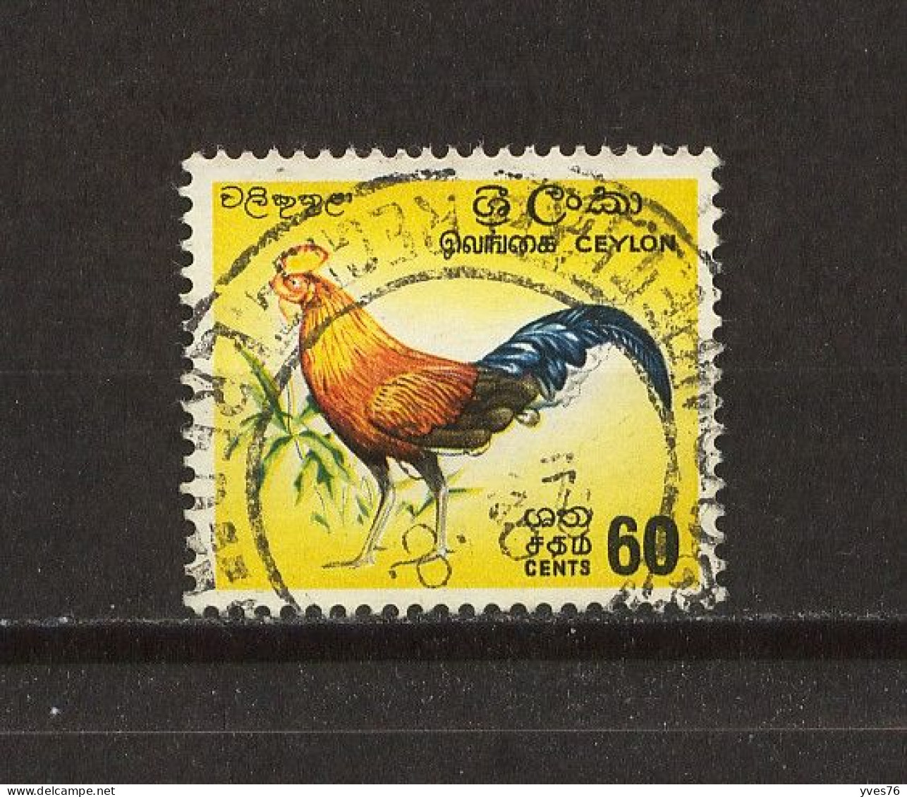 CEYLAN - SRI LANKA - Y&T N° 347° - Coq - Sri Lanka (Ceylan) (1948-...)