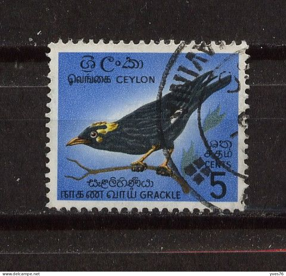 CEYLAN - SRI LANKA - Y&T N° 358° - Oiseau - Merle - Sri Lanka (Ceylan) (1948-...)