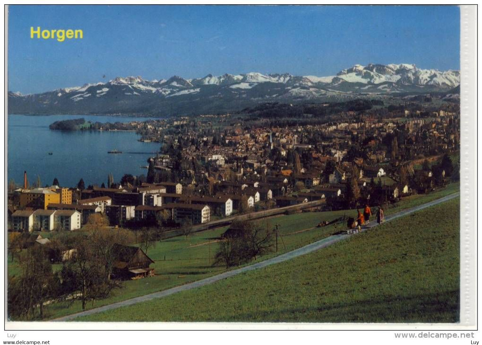 HORGEN, ZH - Am Zürichsee Mit Glarneralpen, Panorama - Horgen