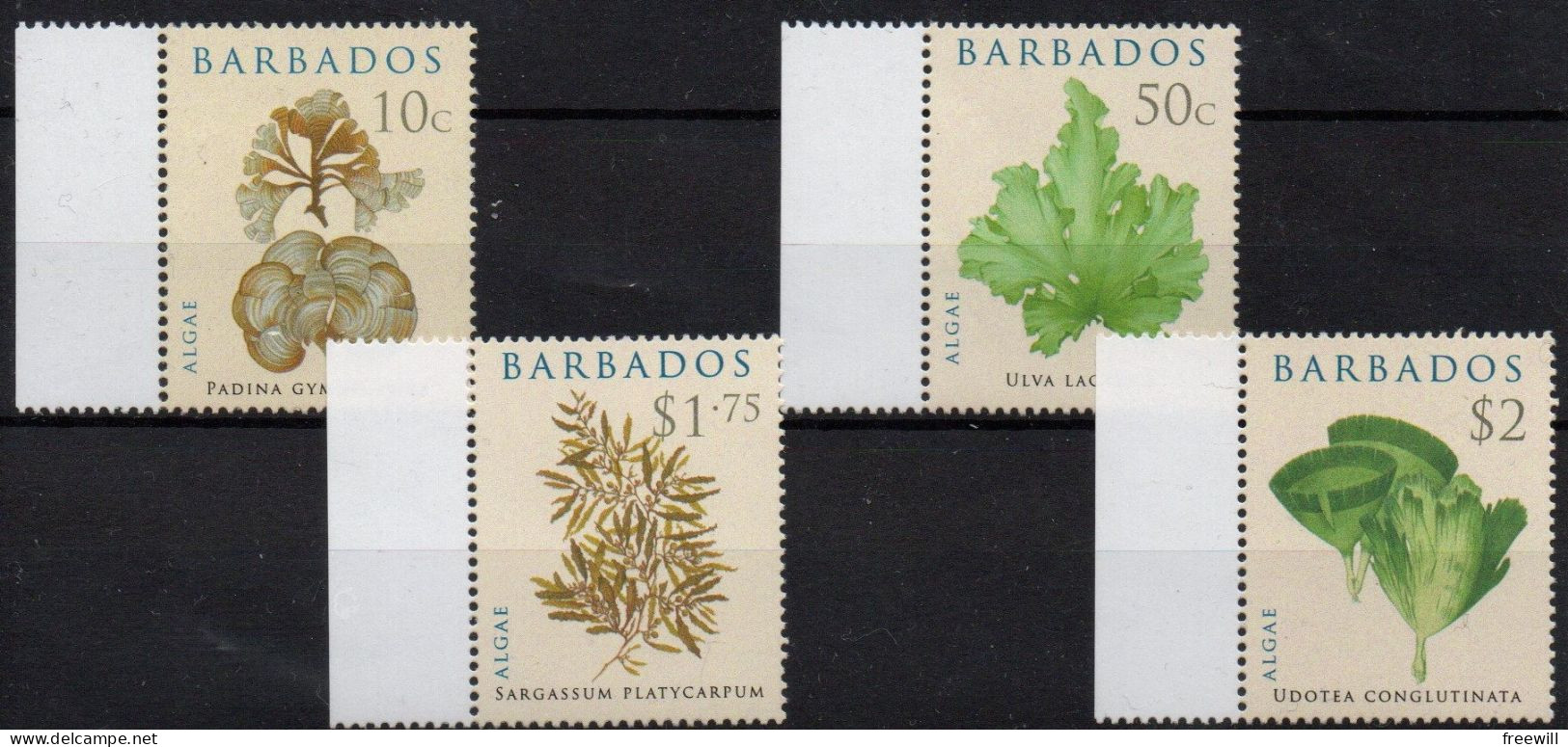 Barbados Fleurs-Flowers-Bloemen XXX 2008 - Barbades (1966-...)