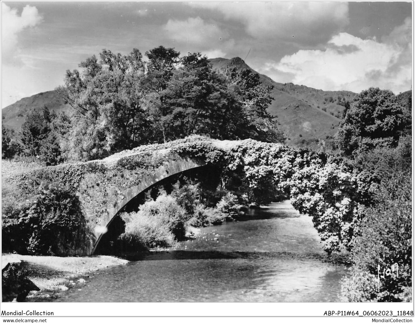 ABPP11-64-0908 - SAINT-ETIENNE-DE-BAIGORRY - La Nive Et Le Pont Romain - Saint Etienne De Baigorry