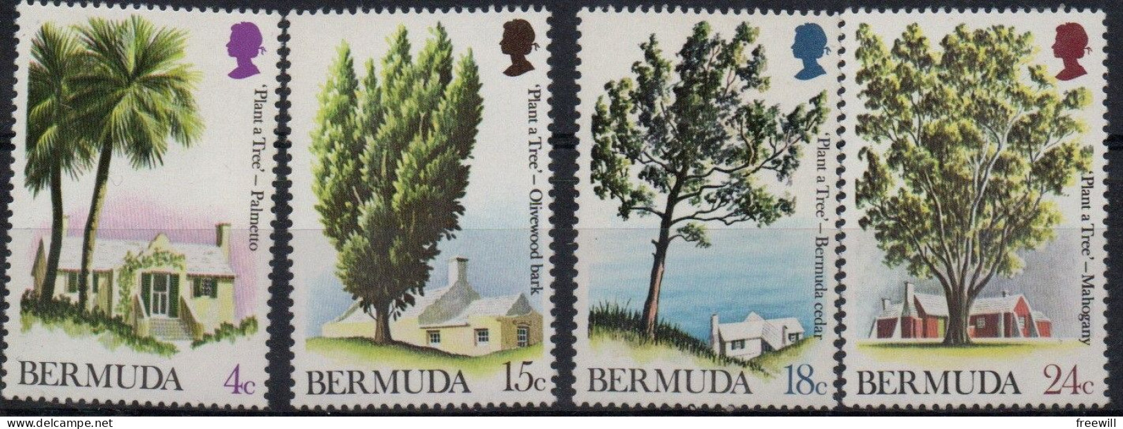 Bermudes Arbres- Trees -Bomen  XXX - Bermuda
