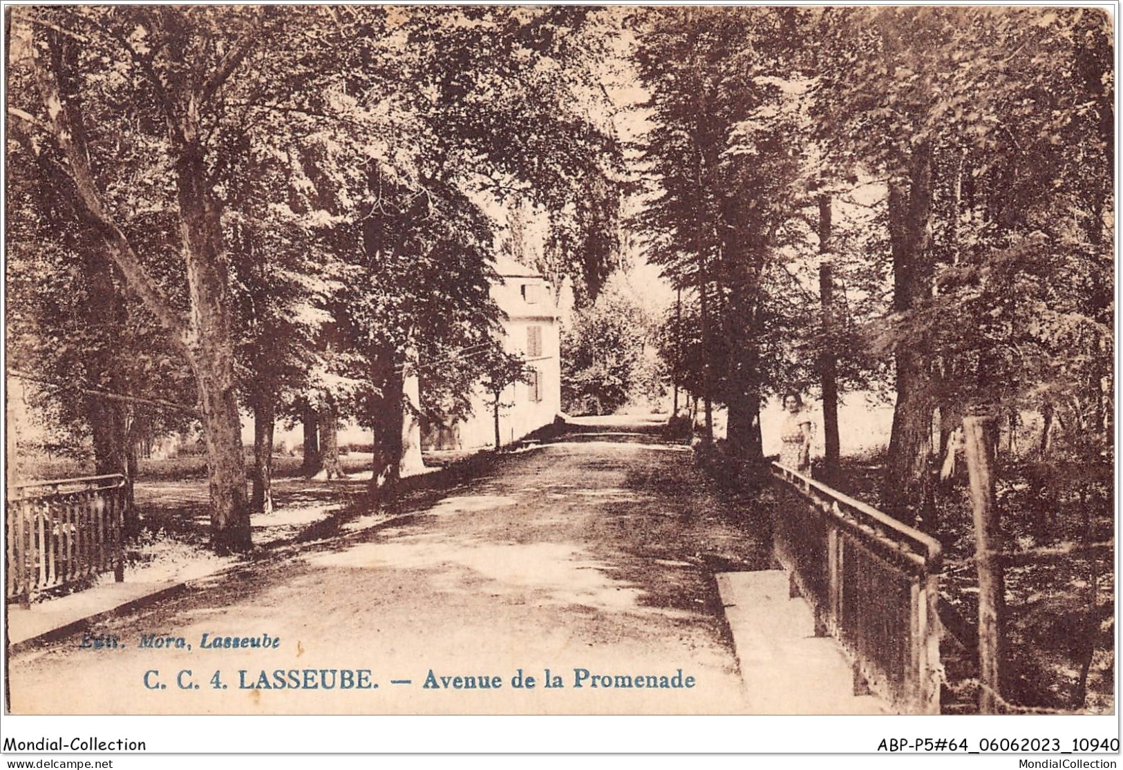 ABPP5-64-0453 - LASSEUBE - Avenue De La Promenade - Lasseube