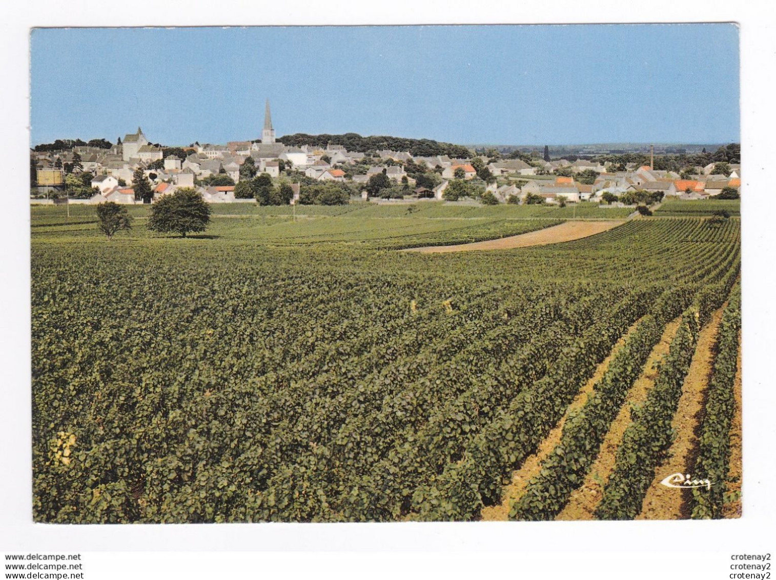 21 MEURSAULT Vue Panoramique Vignoble Vignes Vin En 1975 - Meursault