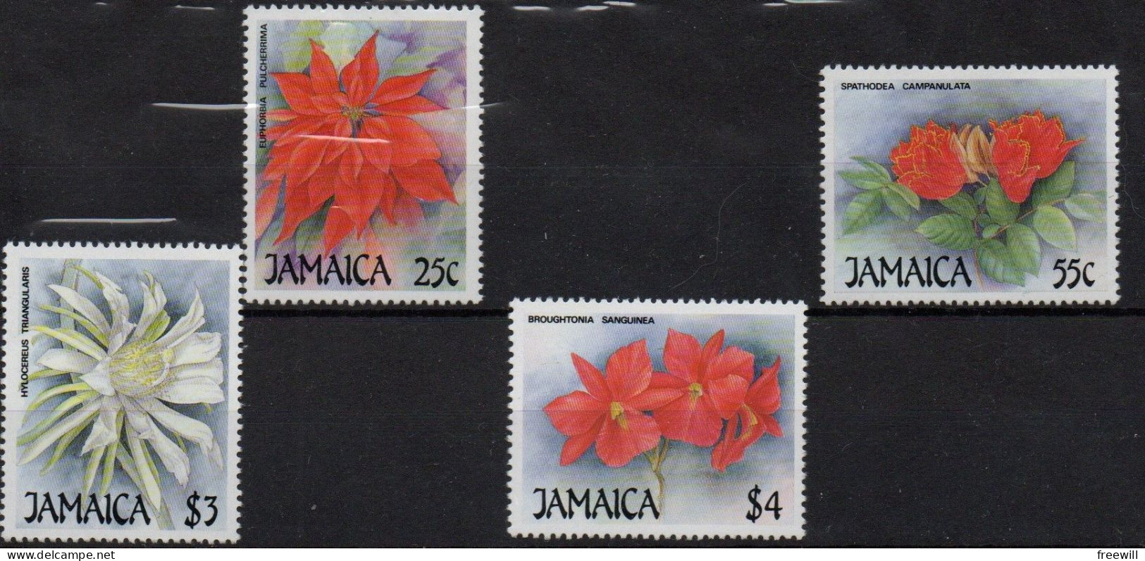 Jamaïque Jamaïca Fleurs-Flowers-Bloemen XXX - Jamaica (1962-...)