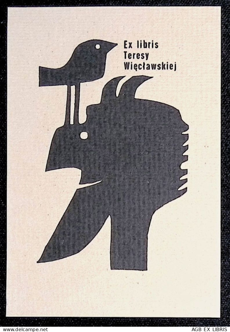 EX LIBRIS ANDRZEJ KOT Per TERESY WIECLAWSKIEJ L27bis-F01 - Ex-libris