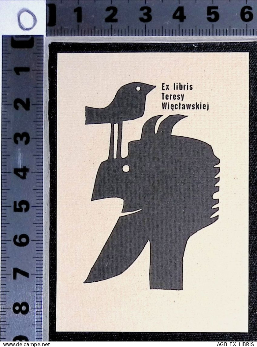 EX LIBRIS ANDRZEJ KOT Per TERESY WIECLAWSKIEJ L27bis-F01 - Ex-libris