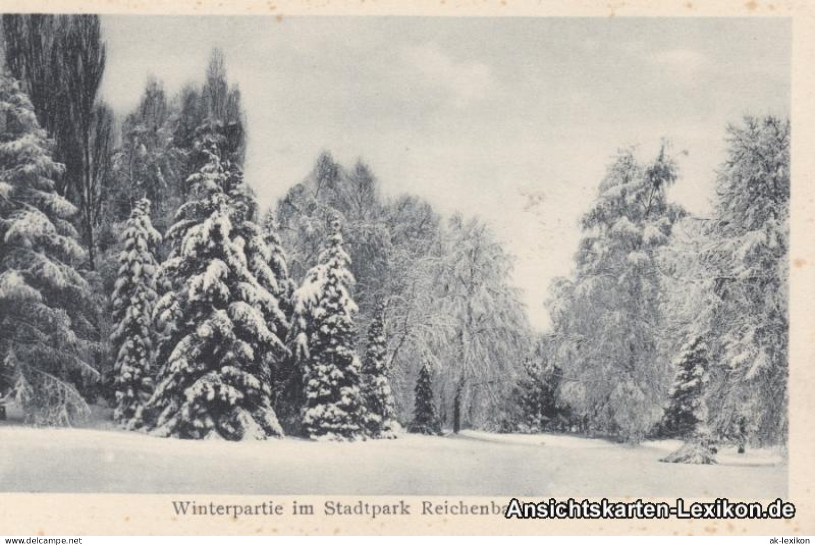 Ansichtskarte Reichenbach (Vogtland) Winterpartie Im Stadtpark 1918  - Reichenbach I. Vogtl.