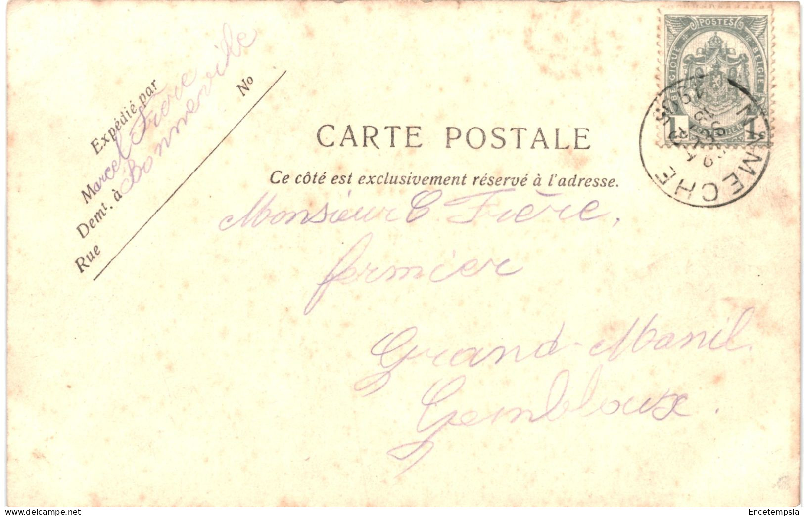 CPA Carte Postale Belgique  Gesves Château De Faulx 1905  VM77771 - Gesves