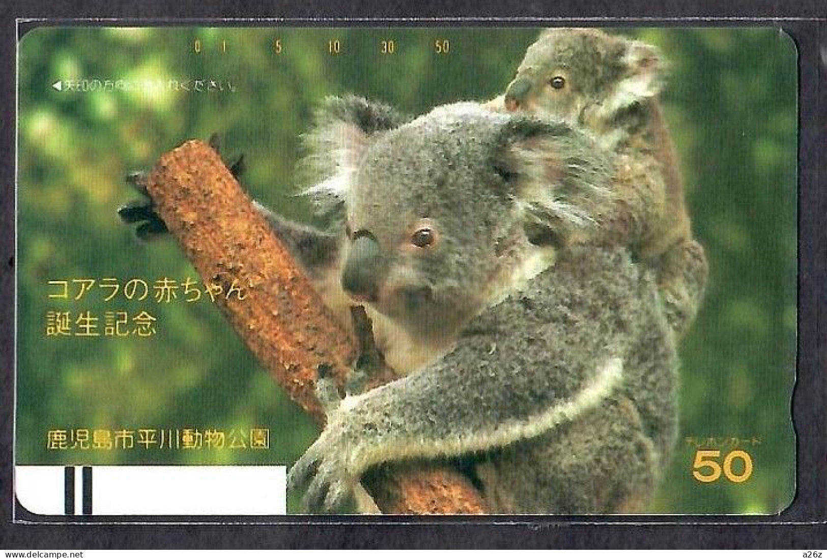 Japan 1V Kagoshima Hirakawa Zoological Park Koala Birth Annv. New Mint Unsed Card - Giungla