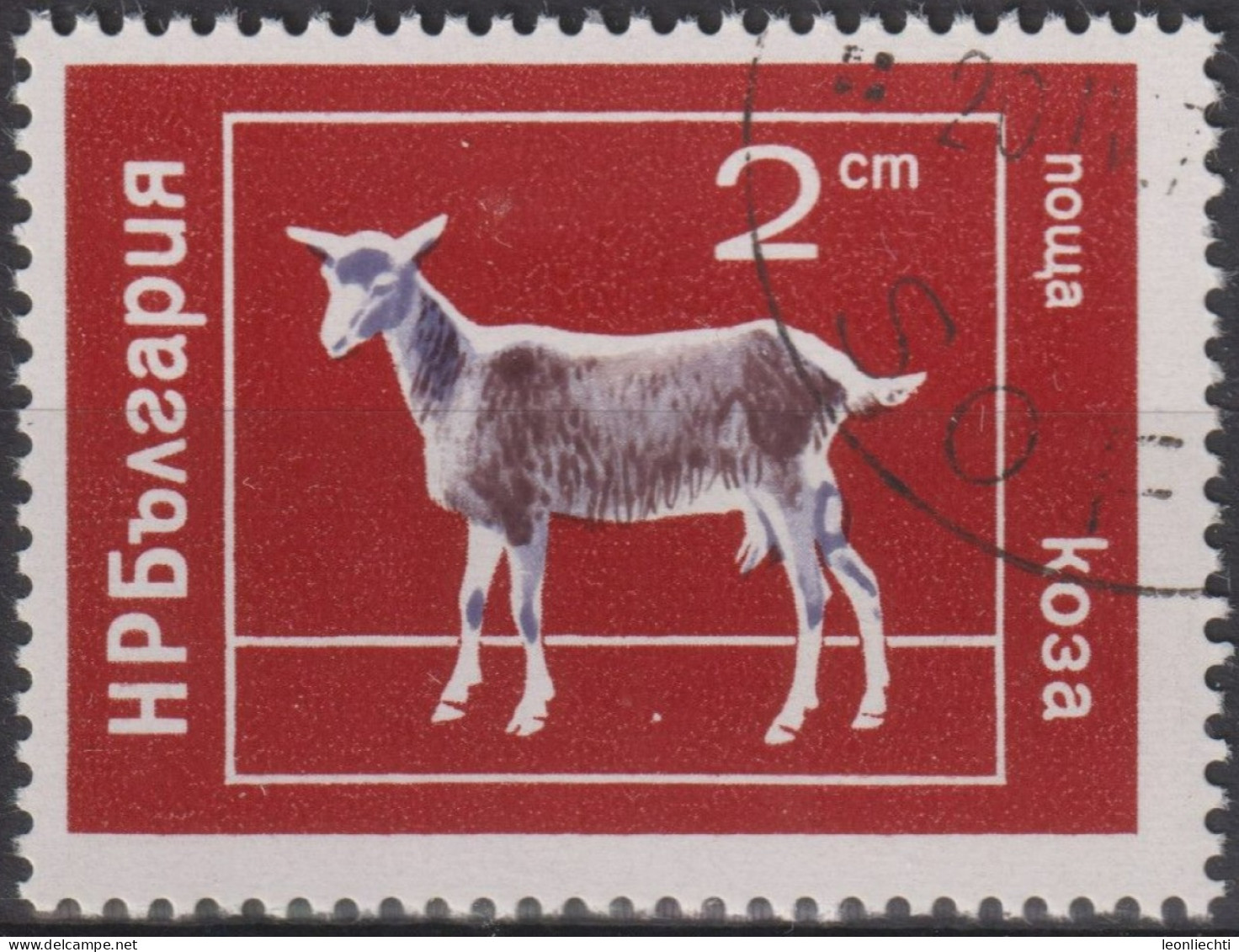 1974 Bulgarien ° Mi:BG 2320, Sn:BG 2159, Yt:BG 2072, Goat (Capra Hircus), Ziege - Used Stamps