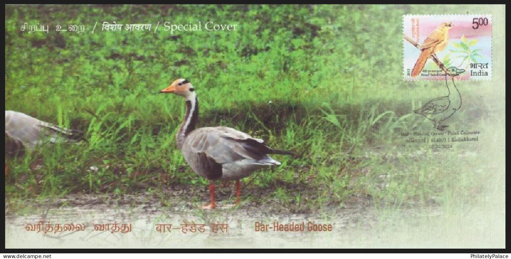 India 2024 Migratory Birds,Bar Headed Goose,Crab Plover,Euraian Curlew,Flamingo,Heuglin's Gull,Set 6 Sp Cover (**) Inde - Briefe U. Dokumente