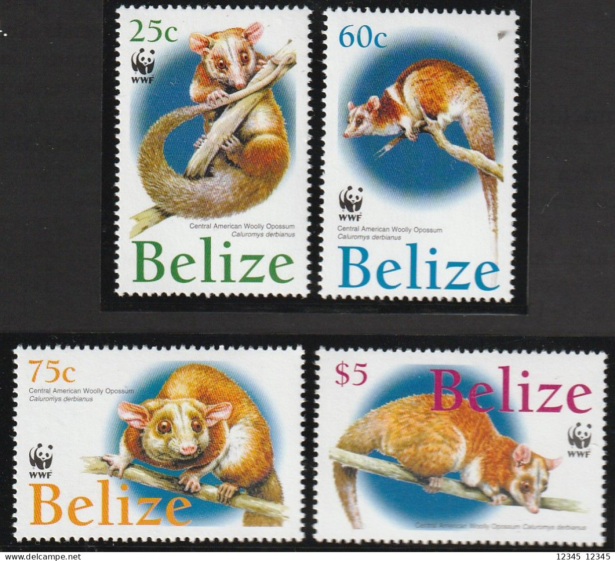 Belize 2004, Postfris MNH, WWF, Derby Woolly Possum - Belize (1973-...)