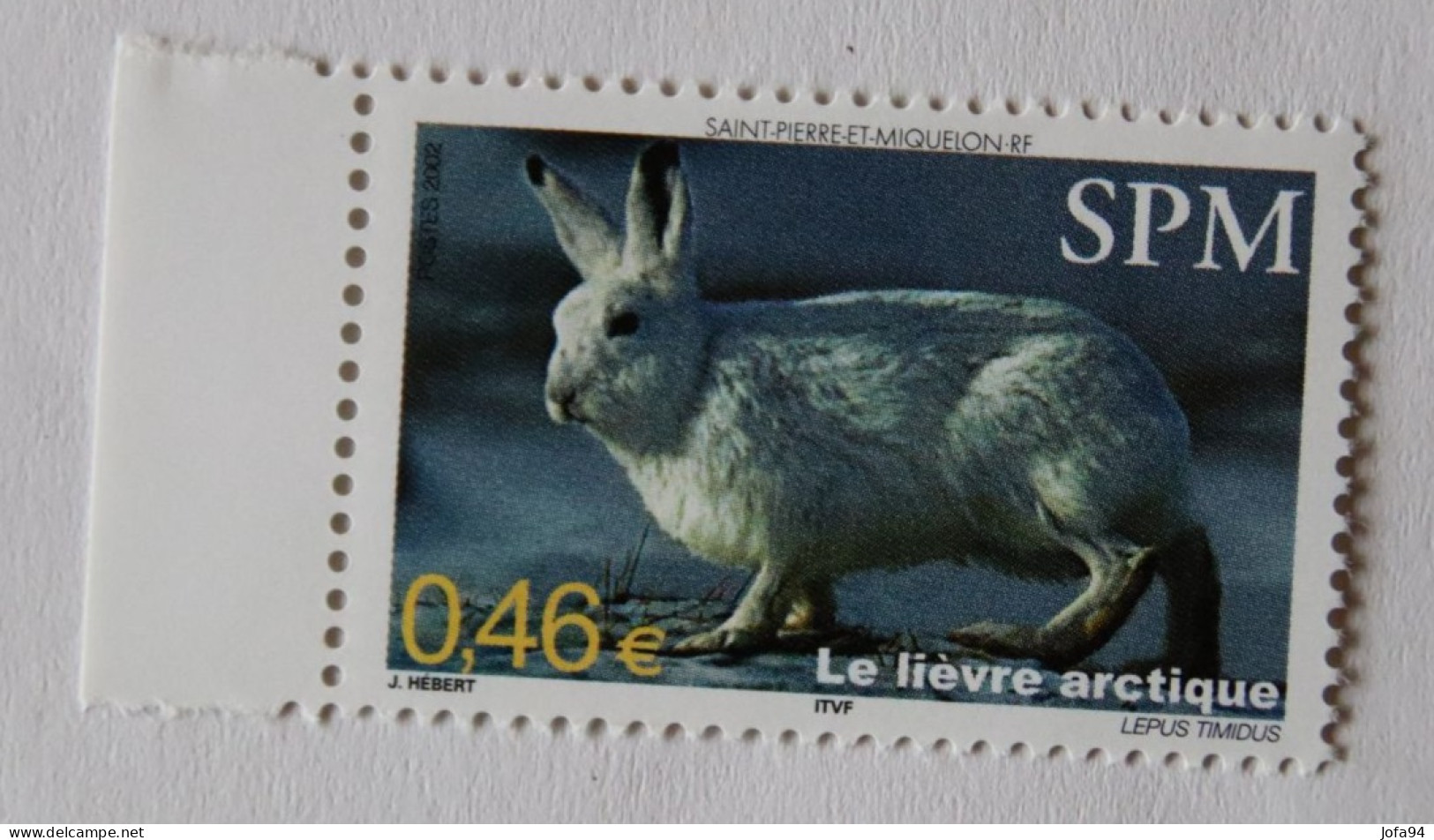 SPM 2002 Faune. Le Lièvre Arctique YT 782  Neuf - Unused Stamps