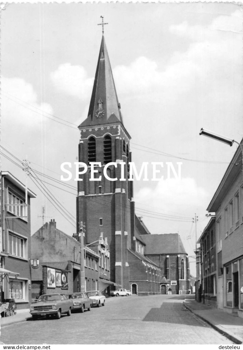 Kerk Sint-Michiel - Brecht - Brecht
