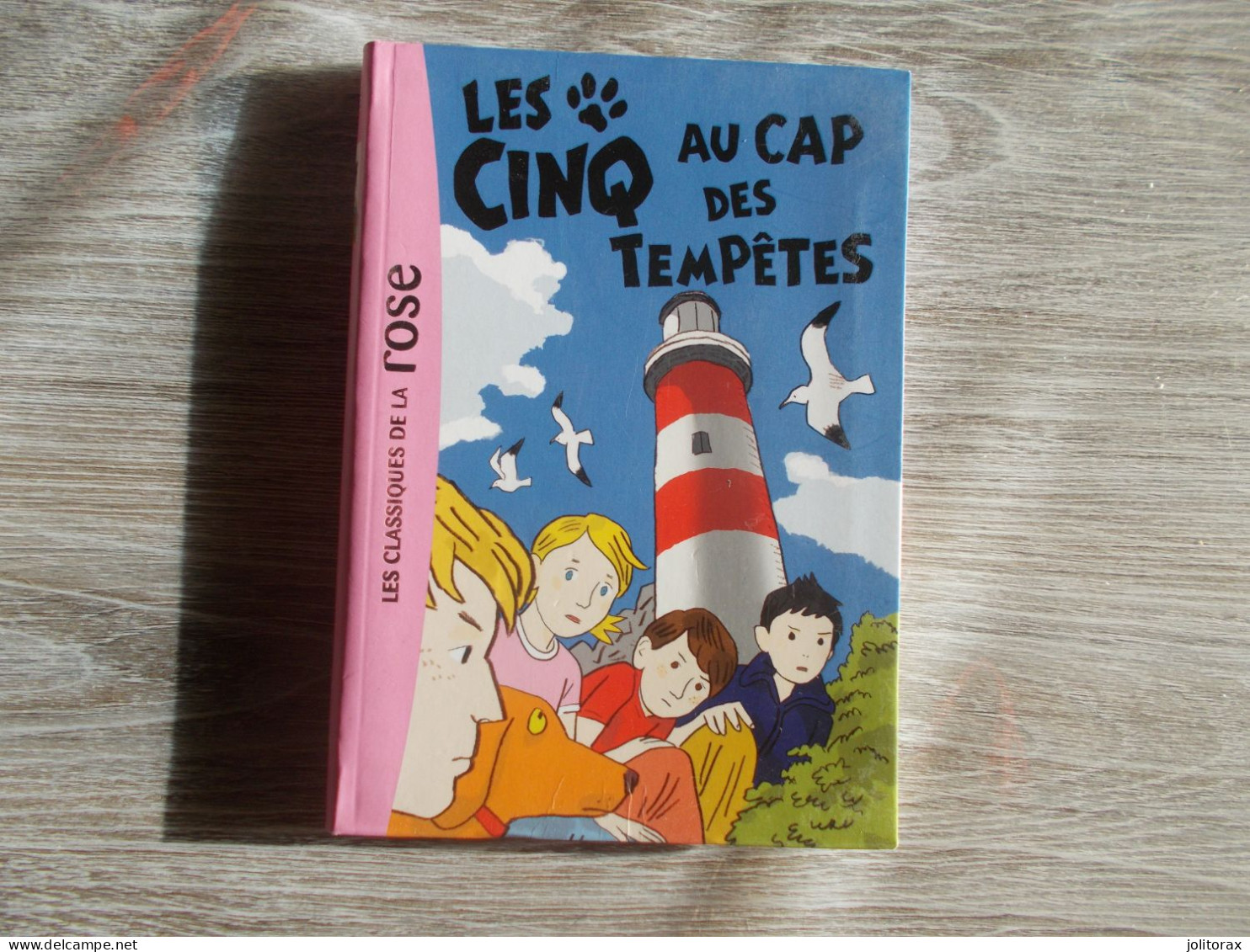 Le Club Des Cinq Au Cap Des Tempêtes - Bibliotheque Rose