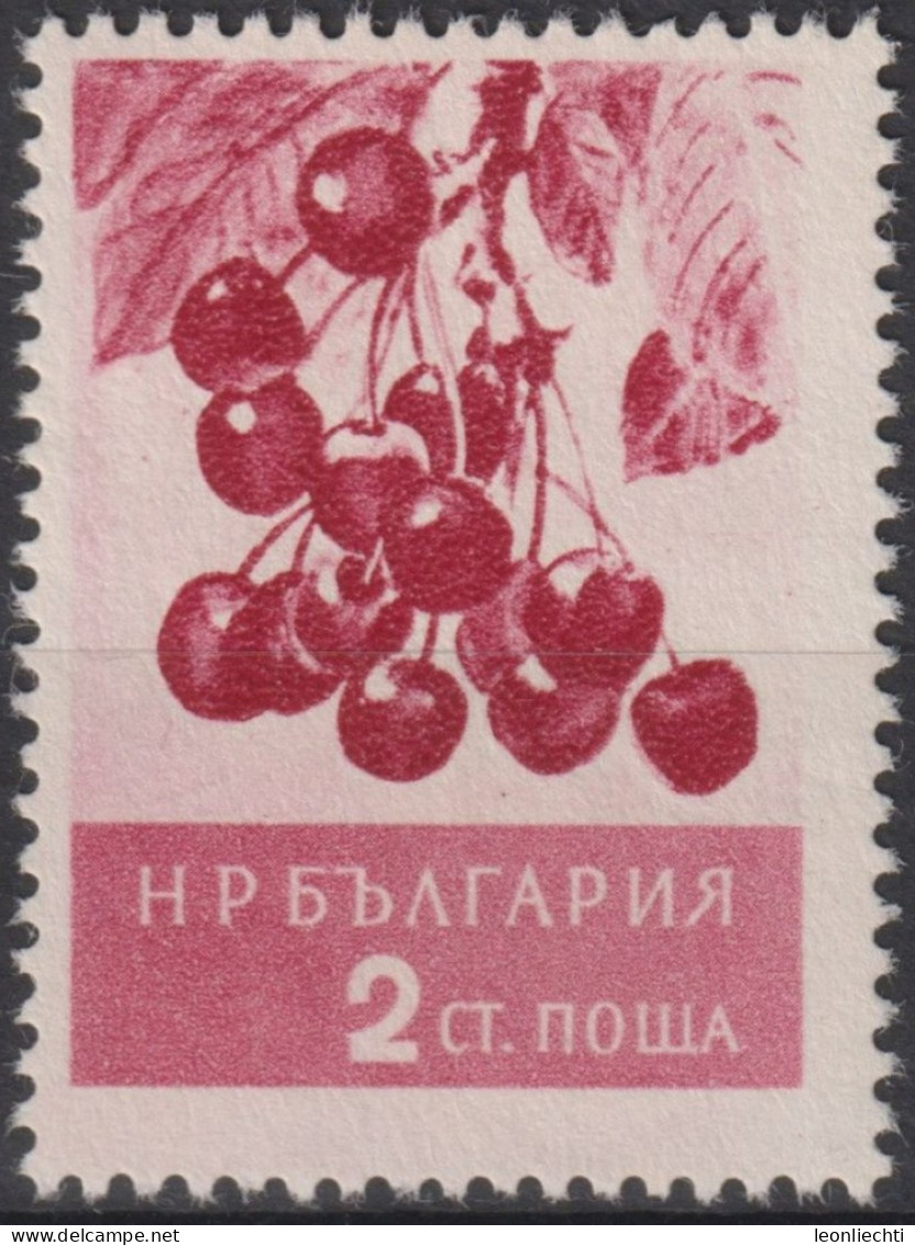 1956 Bulgarien ° Mi:BG 990, Sn:BG 936, Yt:BG 851, Cherries (Prunus Avium) Kirschen, Früchte - Usados