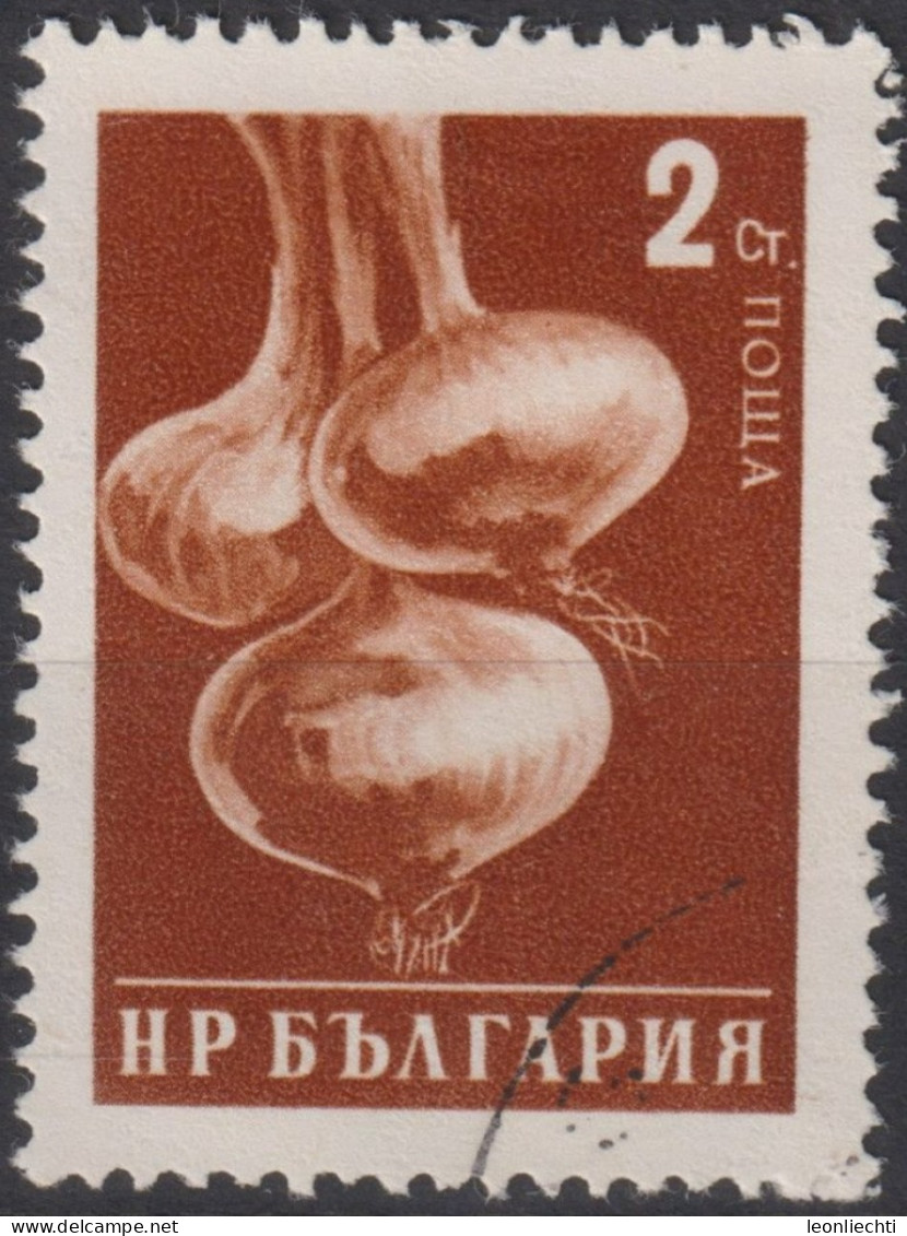 1958 Bulgarien ° Mi:BG 1079A, Sn:BG 1020, Yt:BG 937, Onions, Zwiebeln - Gebruikt