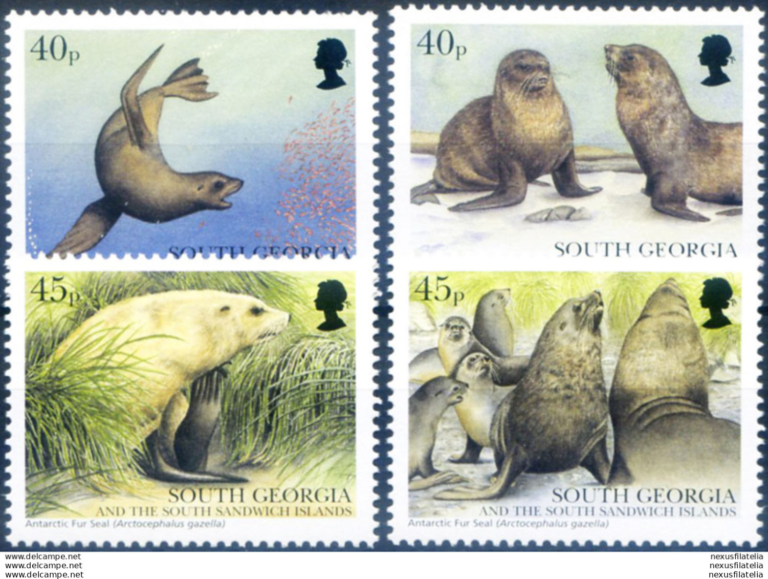 South Georgia. Fauna. Otaria 2002. - Falkland