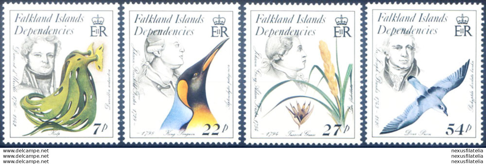 South Georgia. Naturalisti 1985. - Falkland