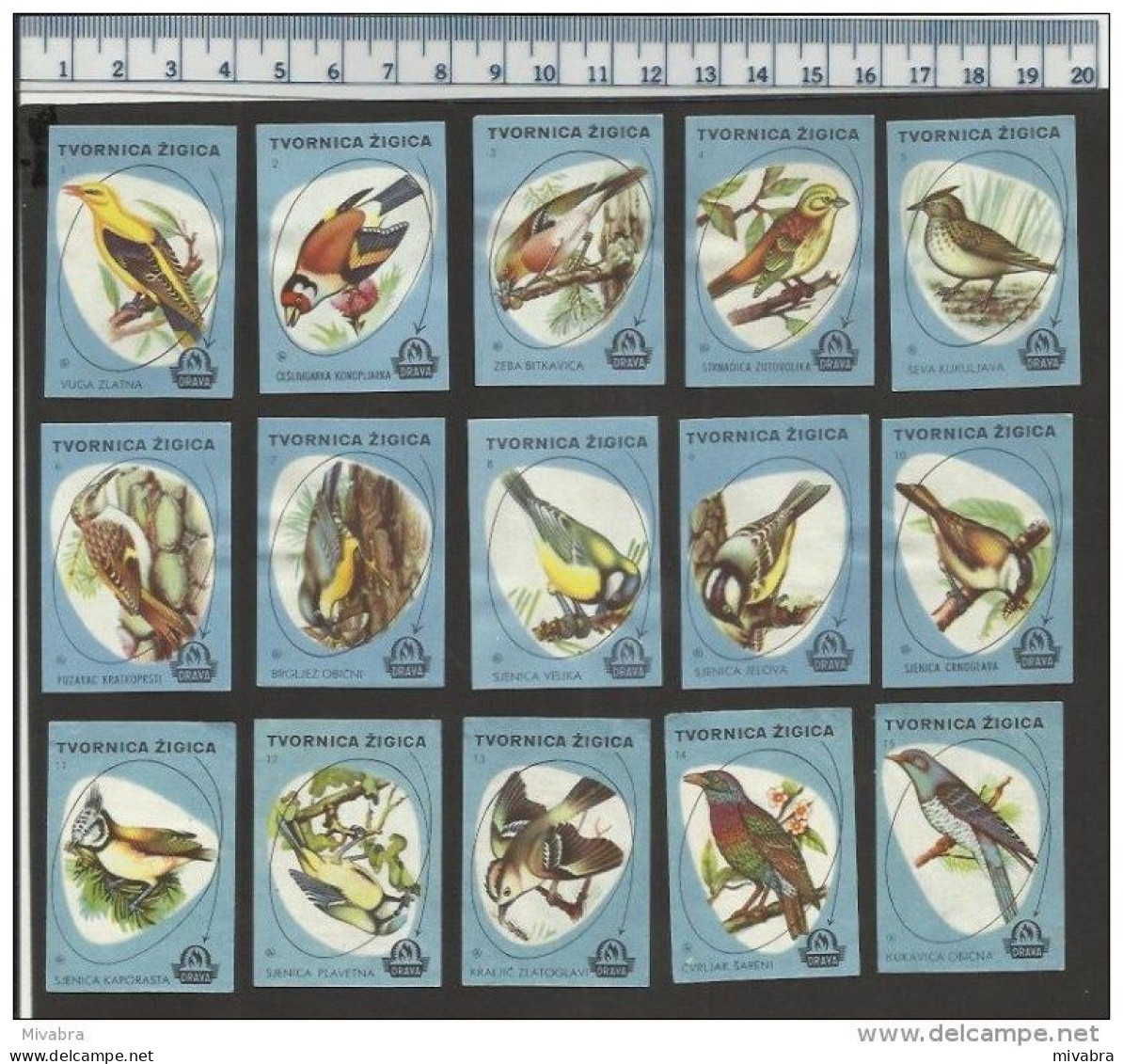 VOGELS BIRDS OISEAUX VÖGEL VOGEL SONGBIRD OISEAU BIRD Matchbox Labels Former Yugoslavia - Boites D'allumettes - Etiquettes