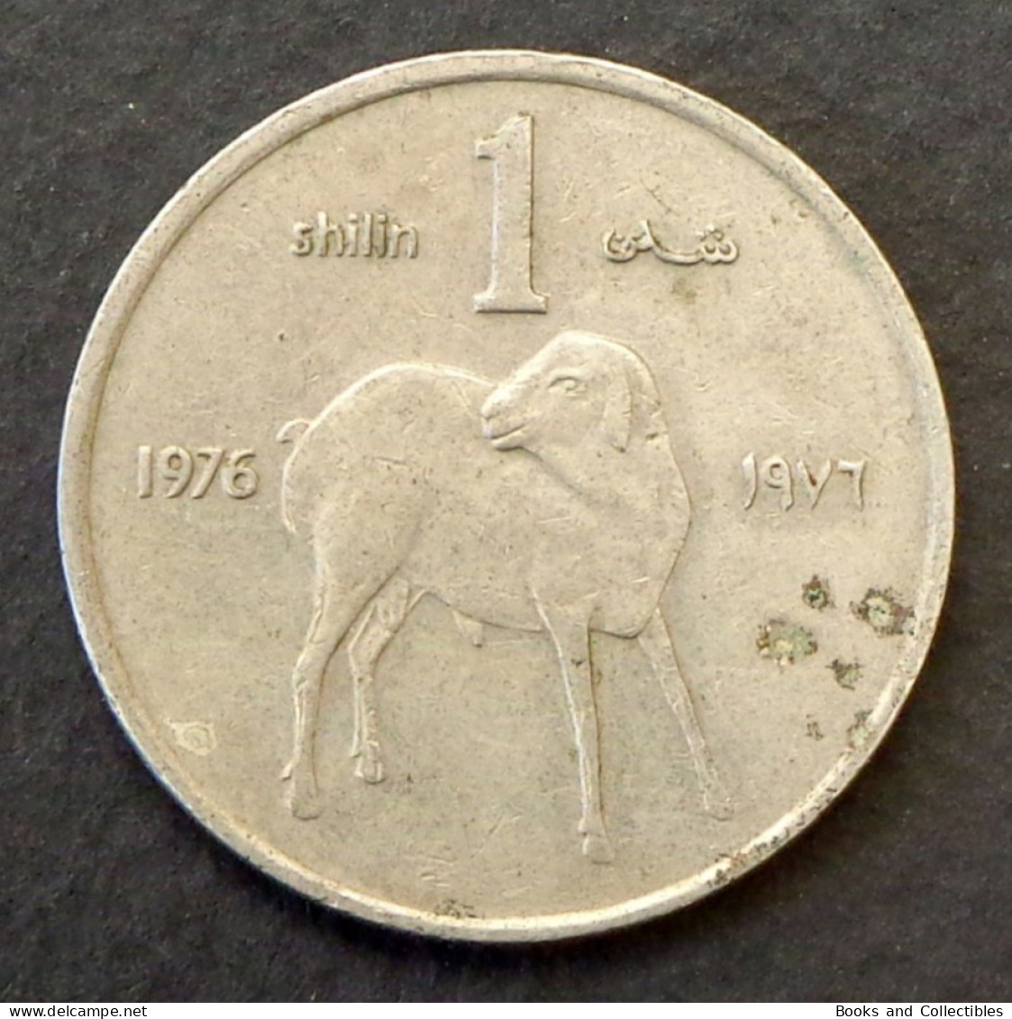 SOMALIA - 1 Shilling 1976 - Commemorative FAO - KM# 27 * Ref. 0174 - Somalie