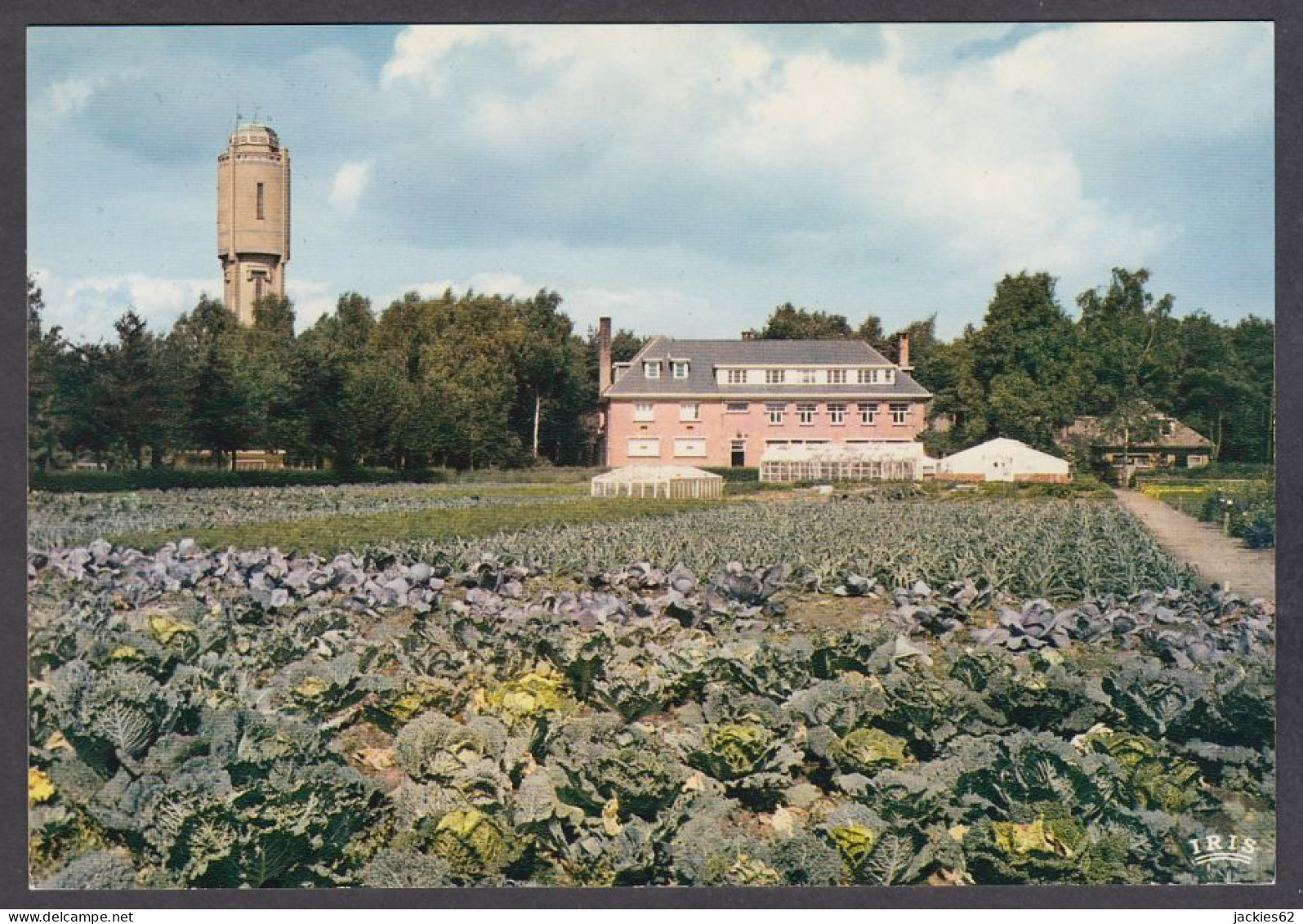 118762/ SINT-JOB-IN-'T-GOOR, Kristus Koning Instituut *Broeders Van Liefde* - Brecht