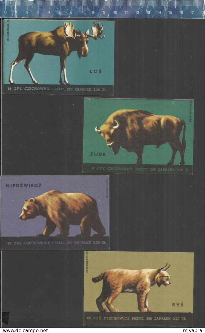 FOREST ANIMALS MOOSE BEAR LYNX WISENT - BIG MATCHBOX LABELS - ZAPALEK GABINETOWYCH  POLAND 1966 - Boites D'allumettes - Etiquettes